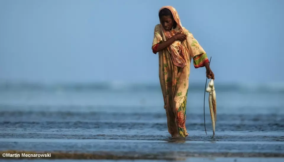 idtchina China, Love Planet